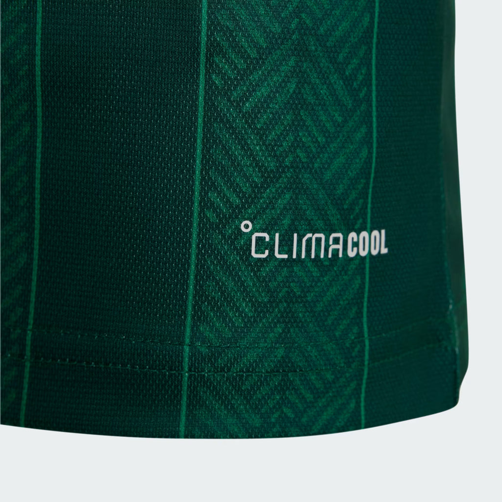 Bafana Bafana Away Jersey 2026